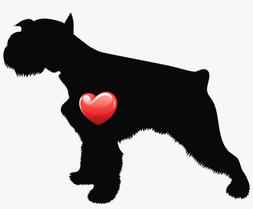 Dog, transparent png download