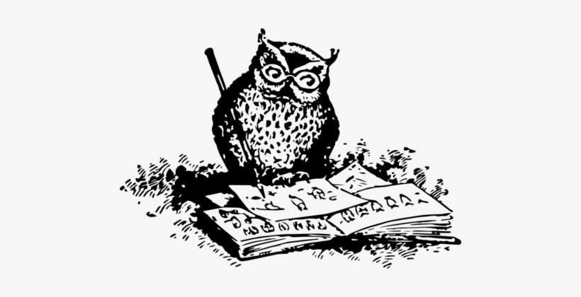 Black And White Owl What To Draw And How To Draw It - Owl Png, transparent png download