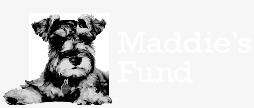 High Resolution Png - Logo De Schnauzer, transparent png download