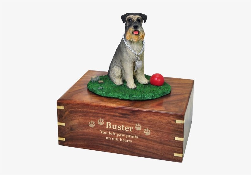 Schnauzer On Grass With Ball Dog Urn Engraved With - Memorial Urns, transparent png download