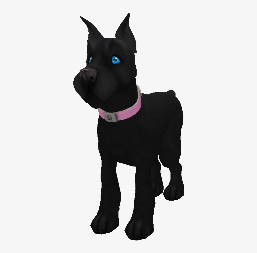 Black Miniature Schnauzer - Dog, transparent png download