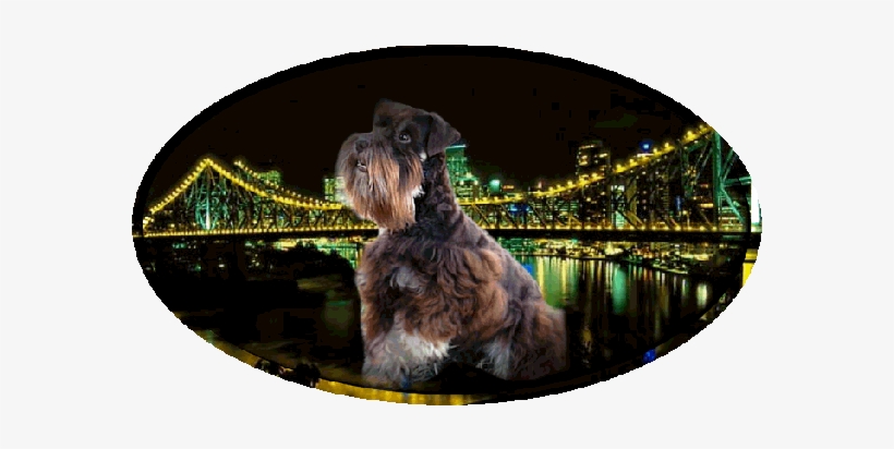 Story Bridge, transparent png download