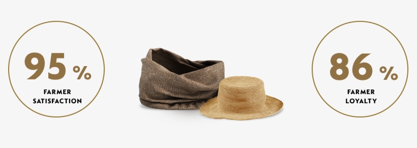 Building Long-term Direct Relationships With Our Coffee - Suede, transparent png download