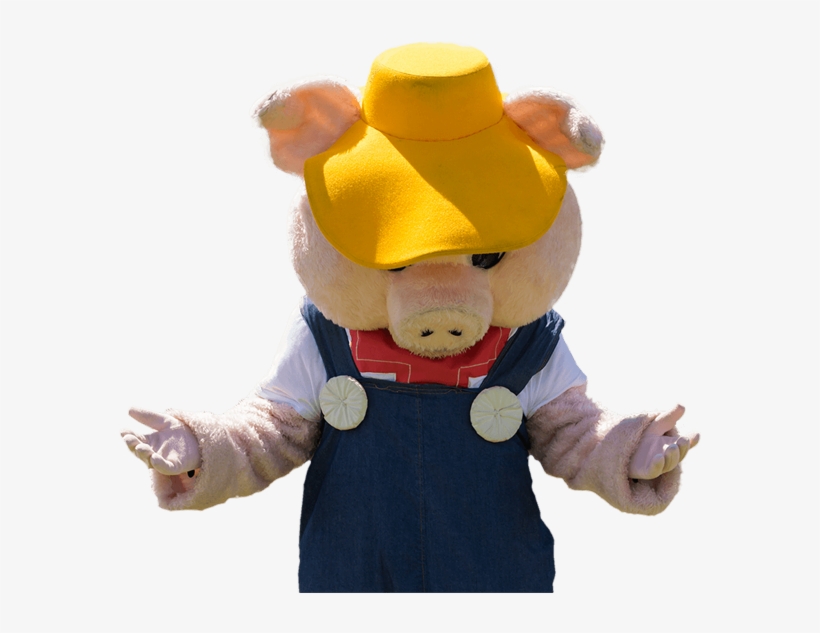 Farmer Ted's Pig Looking Sad Because We Cannot Find - Stuffed Toy, transparent png download