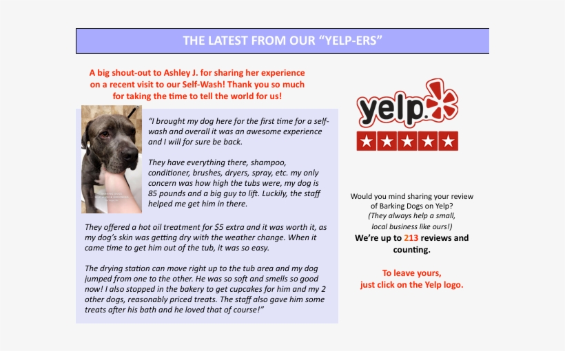 16-yelp - - Cimarrón Uruguayo, transparent png download