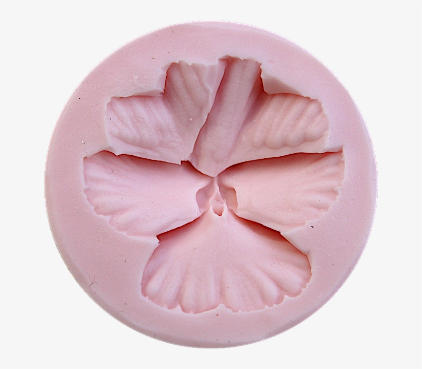 Pansy - New Mexico, transparent png download