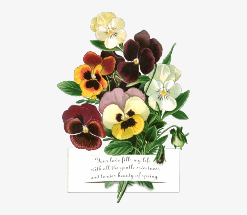 Яндекс - Фотки - Cafepress Pansy Pop 3'x5' Area Rug, transparent png download