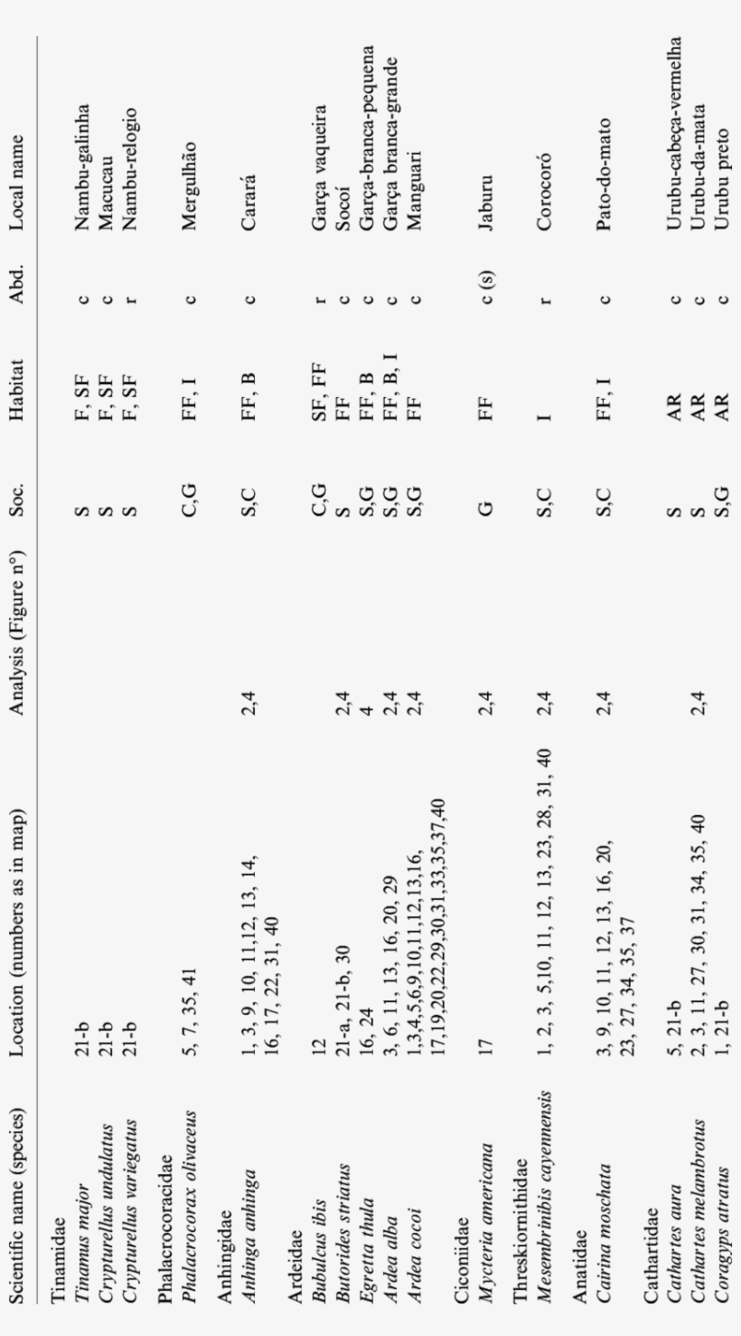 Bird Species Observed At Anavilhanas Ecological Station - Document, transparent png download