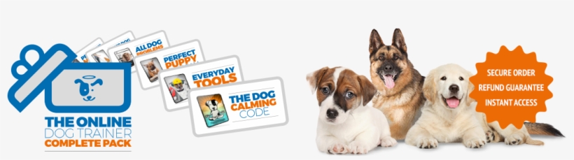 Is Your Dog - Train Your Dog To Obey You Every Time Using This Adjustable, transparent png download