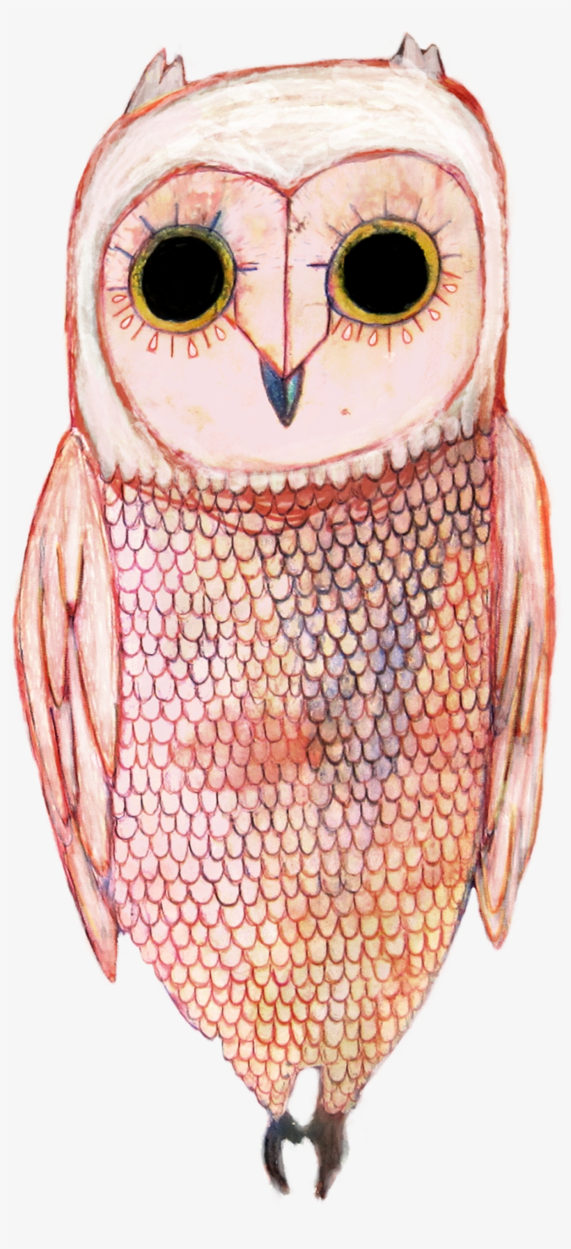 White Owl Png, transparent png download