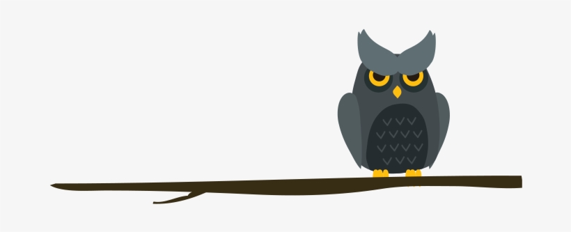 Fuelled By Passion And Unique Ideas, White Owl's Professionals - Owl, transparent png download