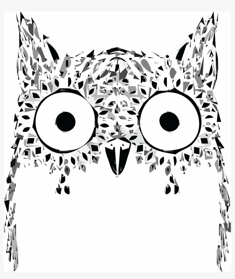 Owl Face Drawing At Getdrawings - Note Cards (pk Of 20), transparent png download