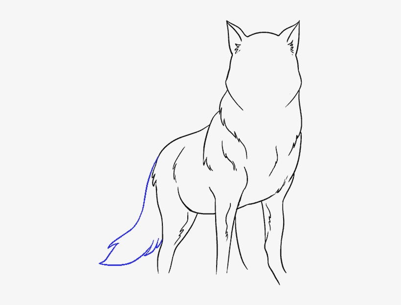 How To Draw Wolf - Drawing, transparent png download