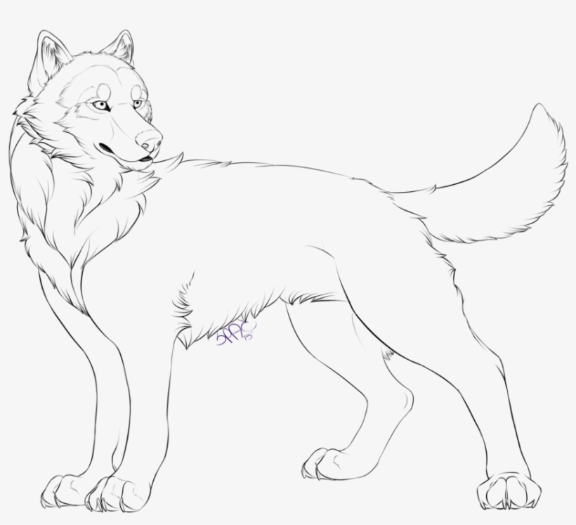 Free Wolf Lines '2015' By Ashelite - Wolf, transparent png download