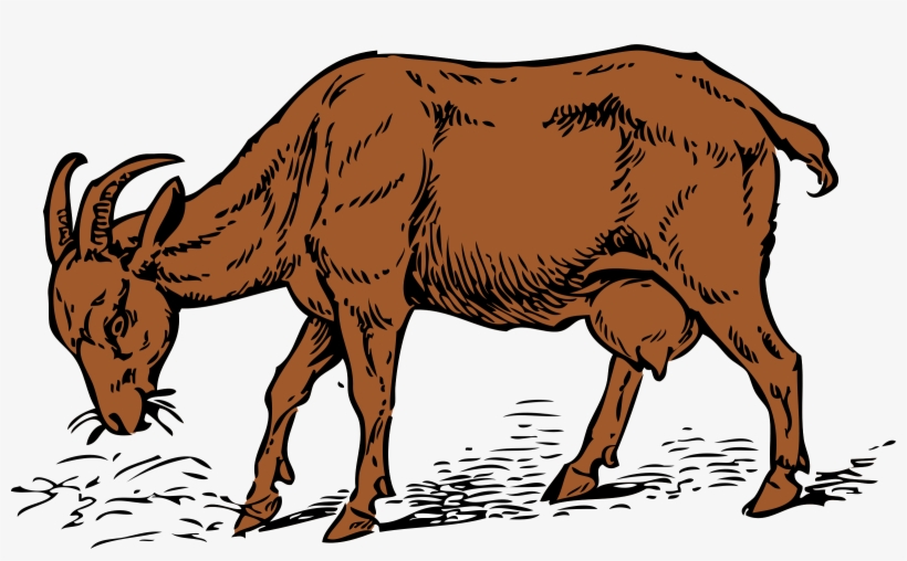All Photo Png Clipart - Goat Clip Art, transparent png download