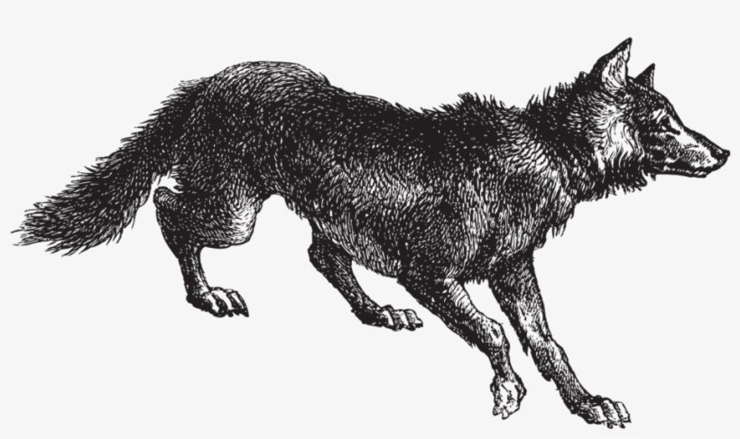 Wolf-graphic, transparent png download
