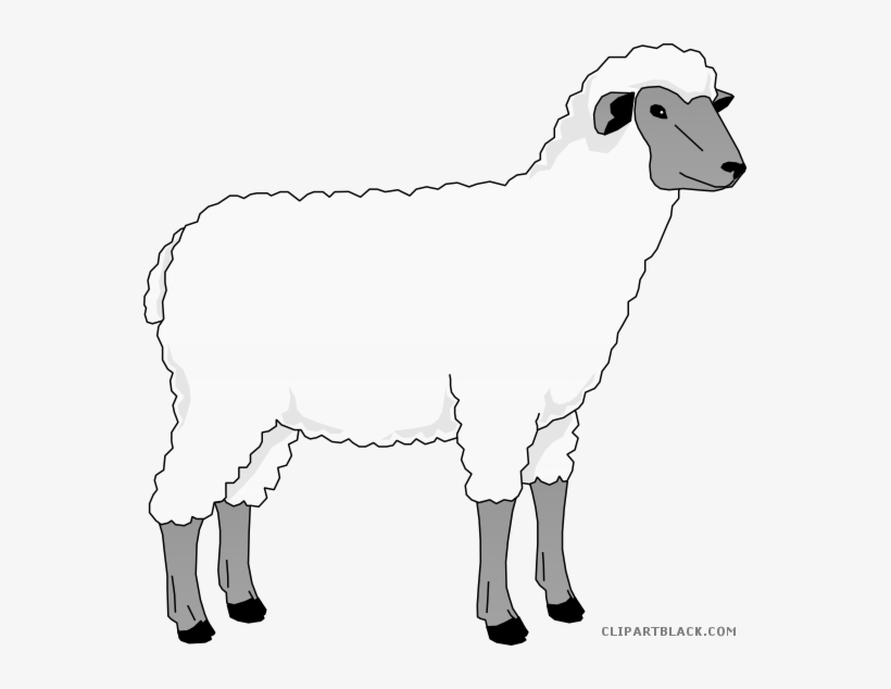 Sheep Clip Art Clipart Goat Merino Clip Art - Sheep Clip Art, transparent png download