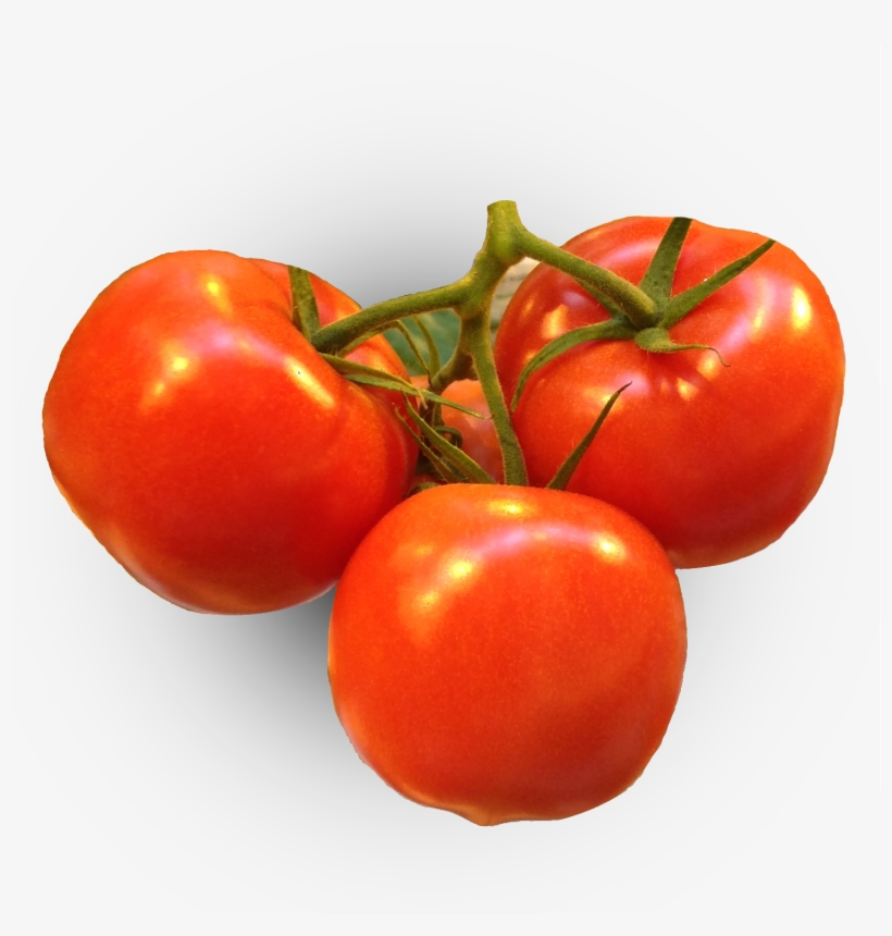 Cea-tomato1 - Plum Tomato, transparent png download