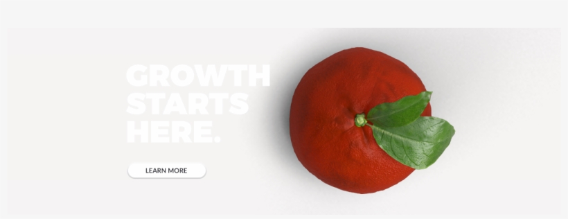We're A Full-service Ecommerce Growth Team - Persimmon, transparent png download