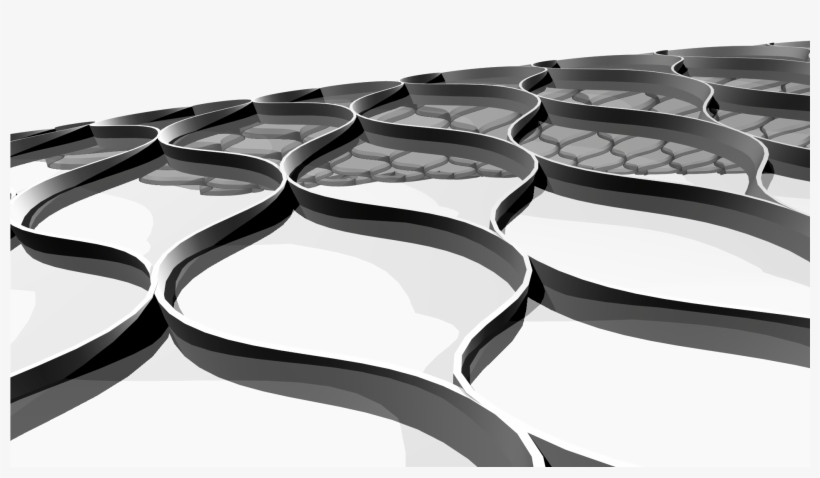 Curved Timber Structural Arrangement By Rhino & Grasshopper - Illustration, transparent png download