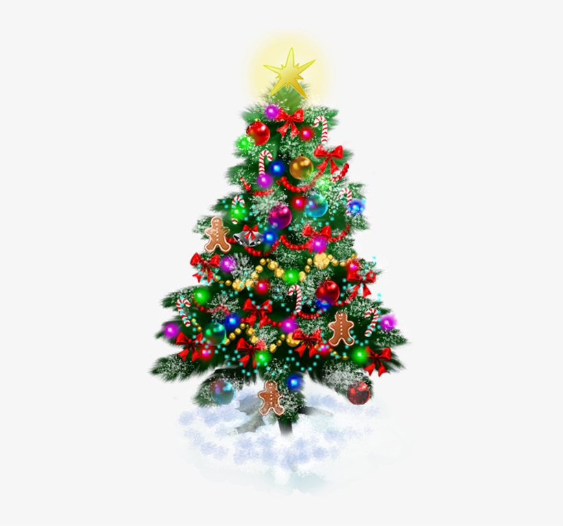 Cold Island Big Tree Holiday - Christmas Day, transparent png download