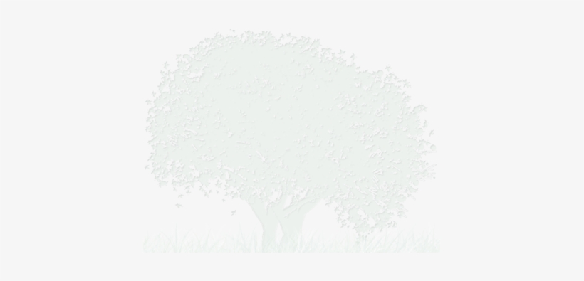 Tree, transparent png download