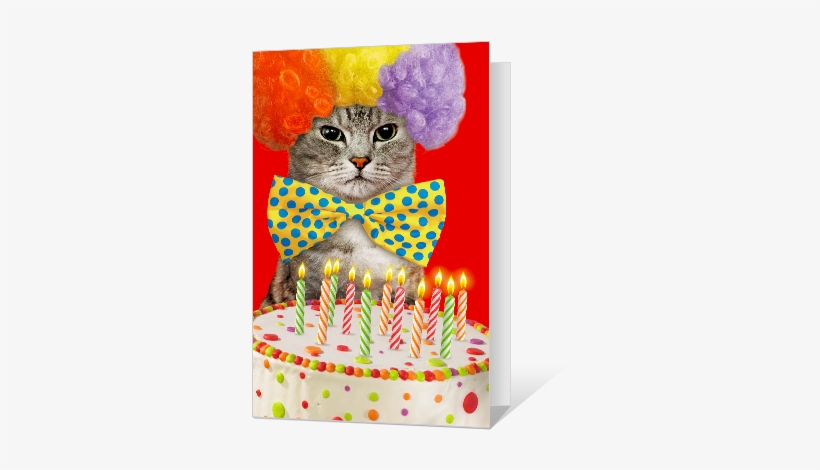 Birthday Cat-ittude Greeting Card - Cats Birthday Card Pdf, transparent png download