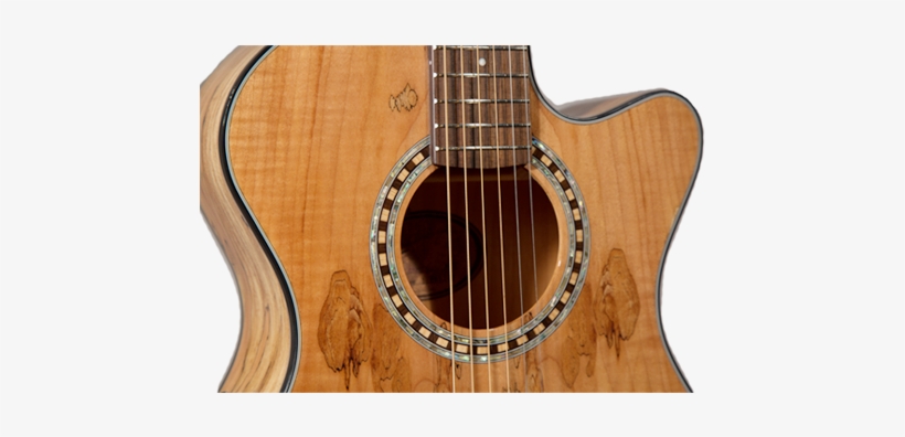 Cybele 2s2 Nat Spalted Maple - Acoustic Guitar, transparent png download