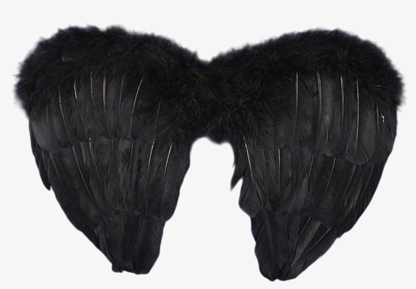 Black Angel Wings Png Pic Png Arts - Black Angel Wings, transparent png download
