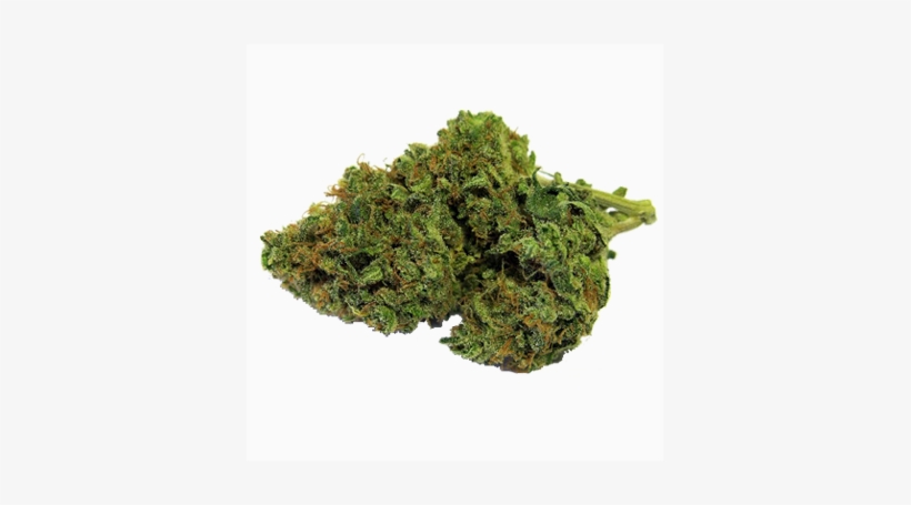 Cannabis Cup Winner Girl Scout Cookies - Moss, transparent png download