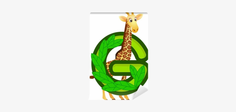 Animal Alphabet G With Giraffe Cartoon Wall Mural • - G For Giraffe, transparent png download