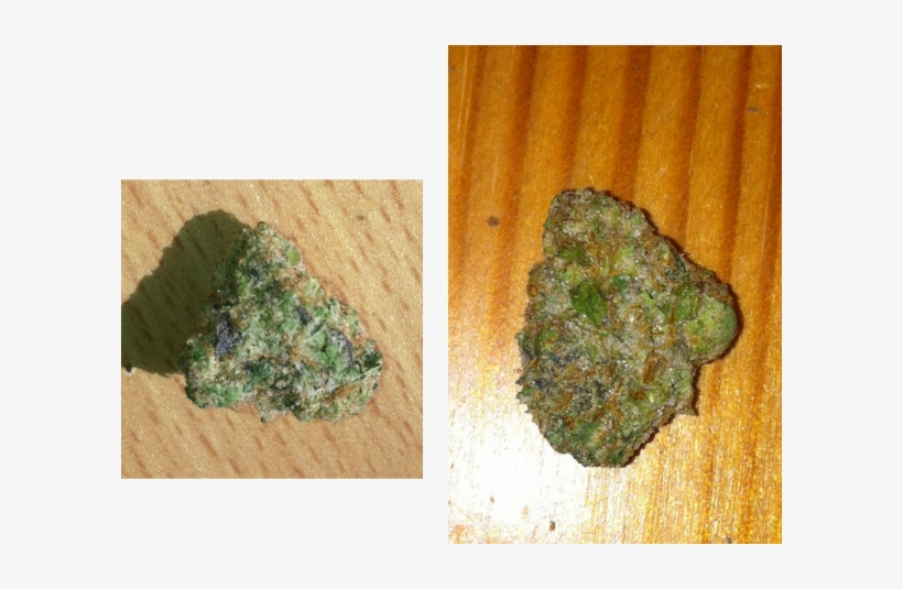 Arguably The Most Popular Hybrid Of 2012, Girl Scout - True Girl Scout Cookies, transparent png download