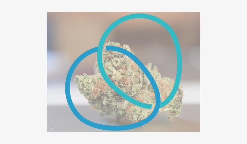 Thin Mint Girl Scout Cookies - Thin Mints, transparent png download