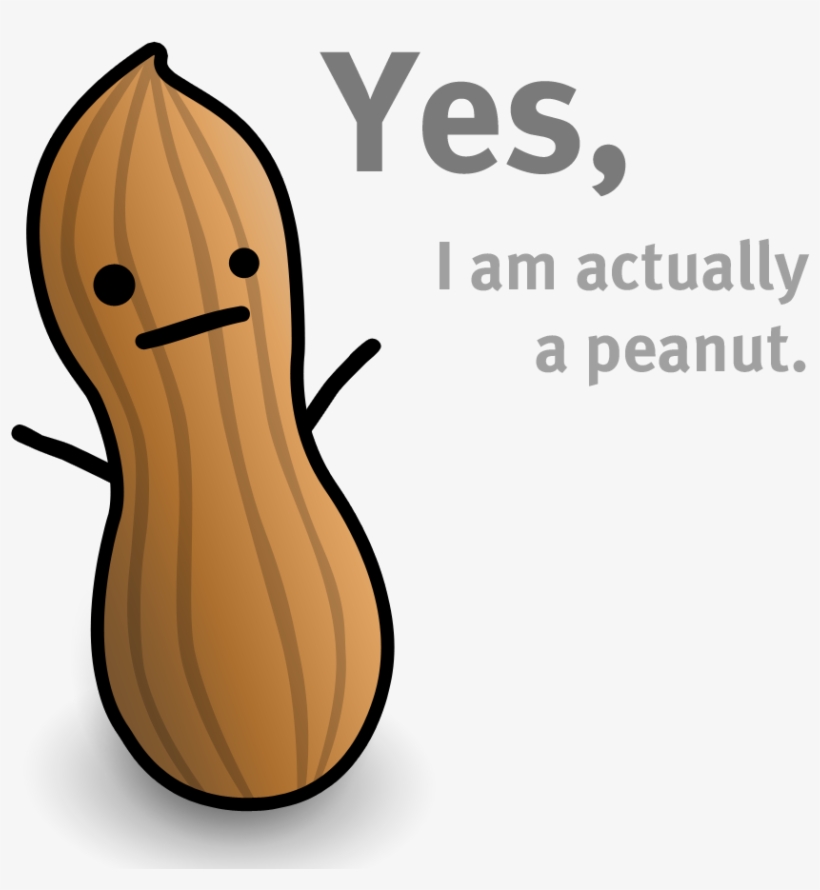 Kin9 P34nut - Peanut Kawaii, transparent png download