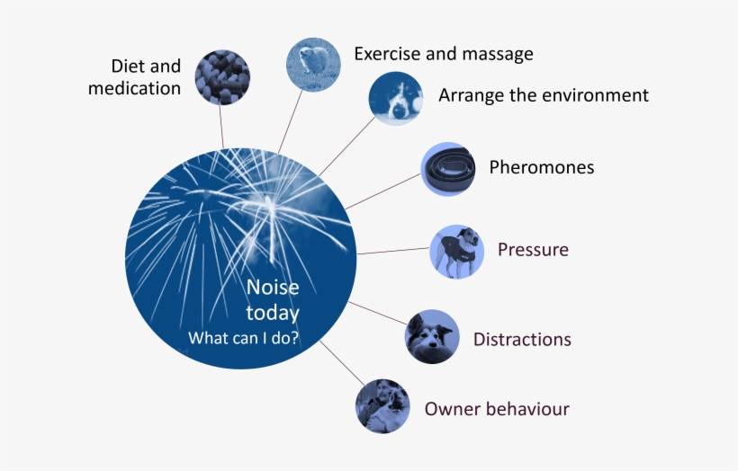 What To Do Now Fear Fireworks 1 - Diagram, transparent png download