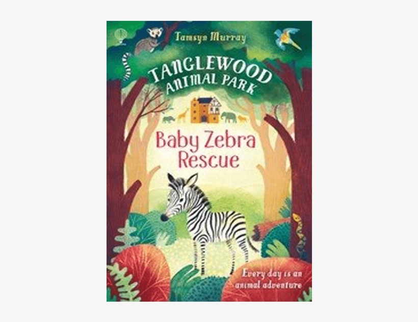 Last Item - Baby Zebra Rescue (tanglewood Animal Park), transparent png download