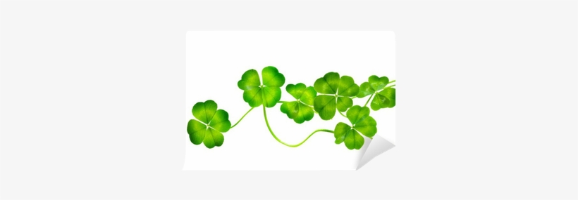Patric's Day Border - Shamrock, transparent png download
