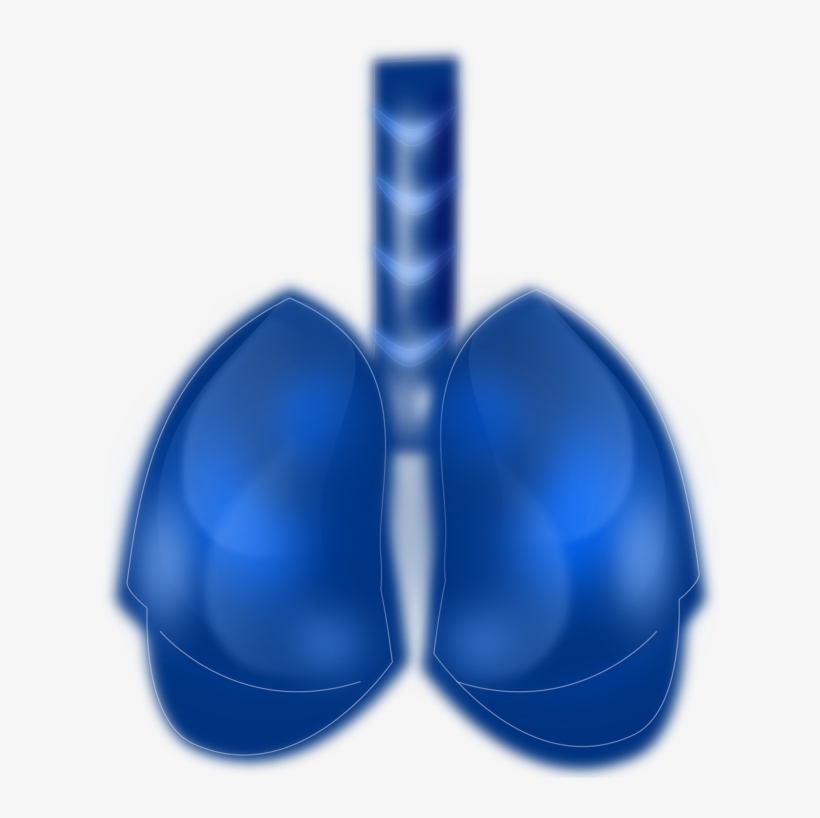 Lung Cancer Respiratory Disease Respiratory System - Lung, transparent png download