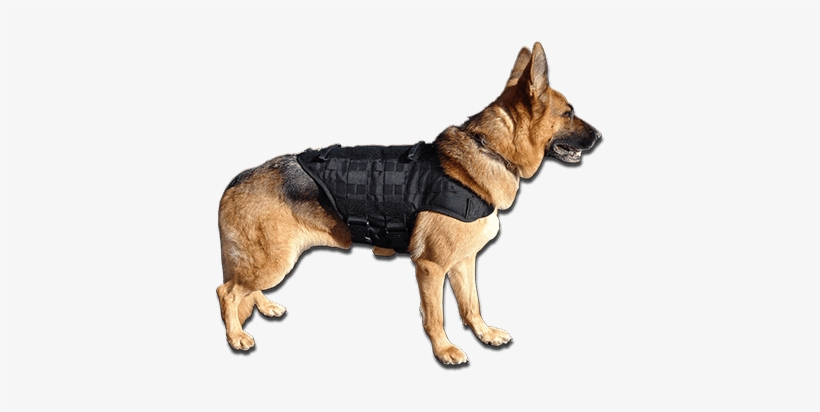 Http - //d3vs2spvv1as9b - Cloudfront - M - Large Tactical Dog Vest, transparent png download