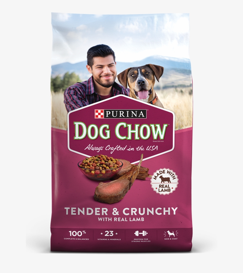 Angel With His Dog On The Cover Of A Bag Of Dog Chow - Dog Chow, transparent png download