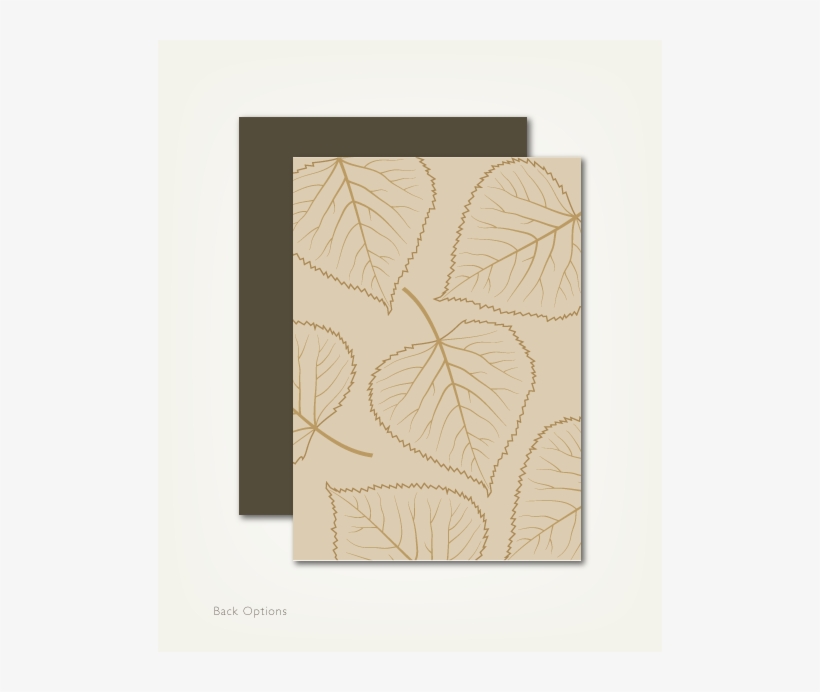 Fall Leaf Web Images4 - Picture Frame, transparent png download
