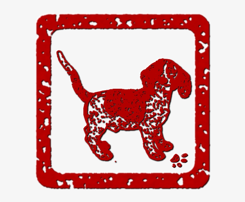 Dog - Common Sores On Dachshund Paws, transparent png download
