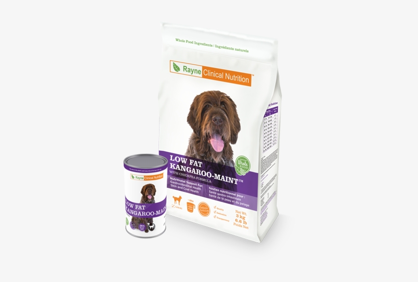 Roo - Rayne Low Fat Kangaroo, transparent png download