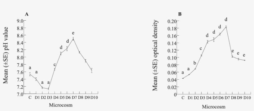 Daily Mean (a) Ph And (b) Optical Density Values Of - Diagram, transparent png download