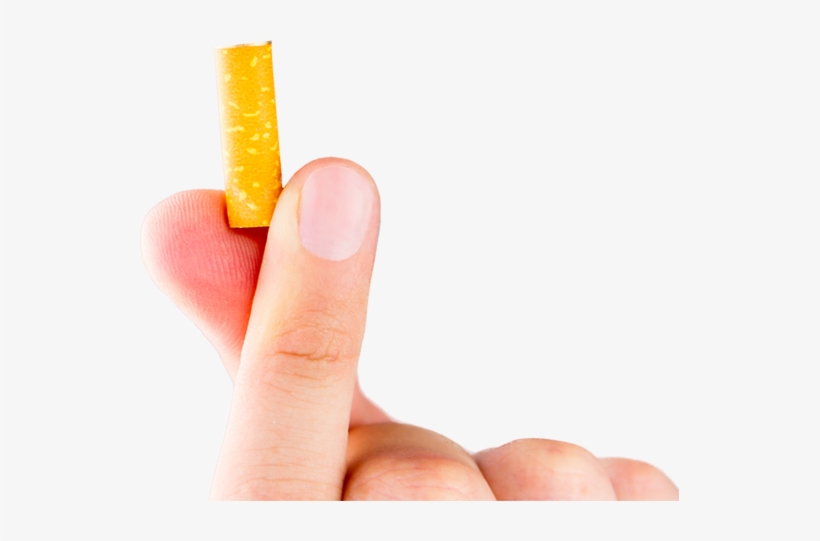 An Organic, Biodegradable Cigarette Filter That Helps - Photography, transparent png download