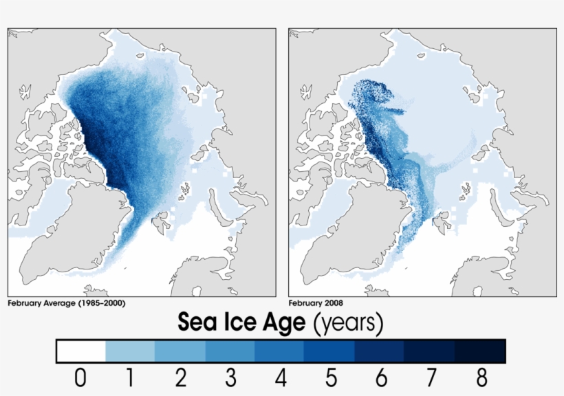 Arctic Sea Ice Age2008 - Average Arctic Sea Ice Age, transparent png download