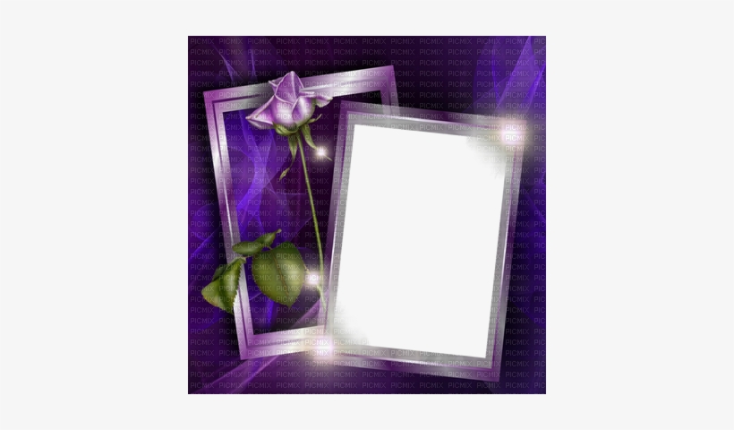 Fond Flower - Terry Goodkind, transparent png download