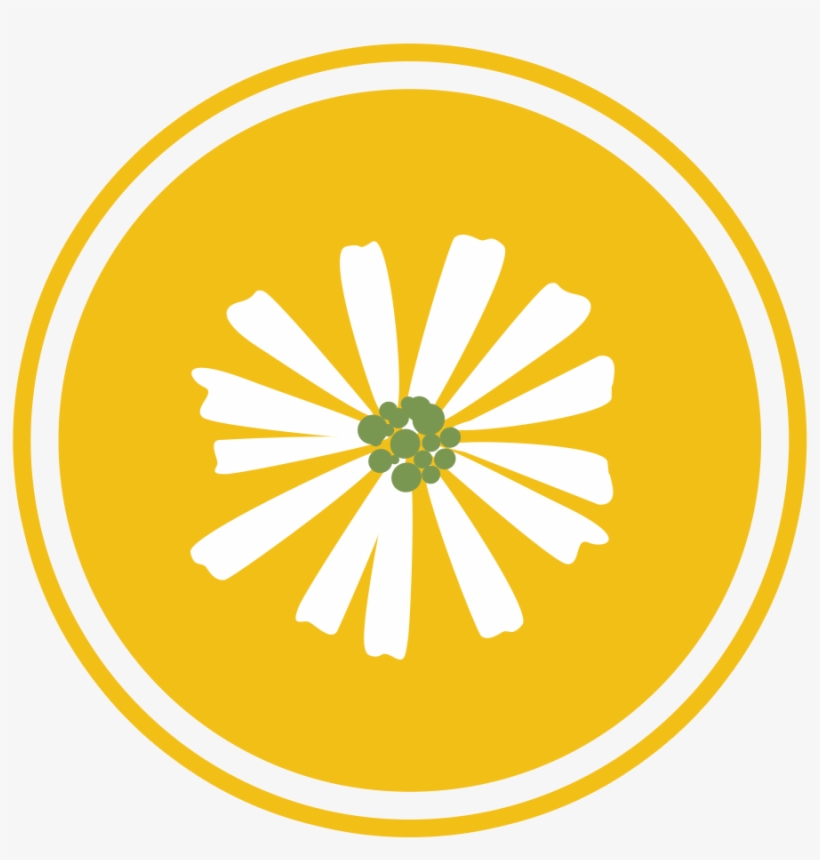 Badge Wikia Staff Gold - Fandom, transparent png download