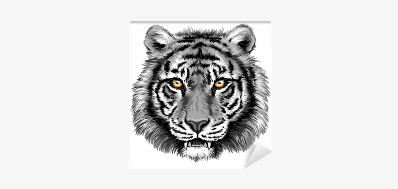 Tiger Eyes Png Download - Tiger, transparent png download