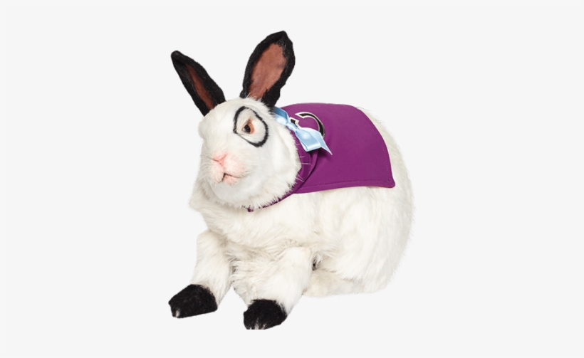 Bunny - Thunderman Dottor Colosso, transparent png download